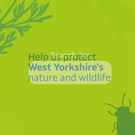 2K views | West Yorkshire’s wildlife and nature need your help. Help shape our plans to protect and restore our natural environment through the Local Nature Recovery Strategy.  Tell us if you agree with our priorities  Explore the digital map  Help create a greener, healthier West Yorkshire Have your say - https://orlo.uk/ARCri West Yorkshire Combined Authority | Bradford Council | Facebook
