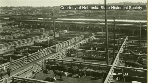 How Omaha’s stockyards grew from an 1883 pitch to the world’s top livestock market