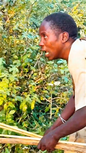 He Risks Everything… When a Lion Traps a Deer in a Tree! | Real African Bush Life | जंगल का खामोश पल