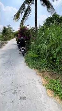 Đất lộ 3,5m ô tô có 300m thổ cư 13.000m đất cln còn lại lúa. Tổng 17.000m2 Cần Thơ chỉ 280tr/1.000m2