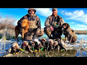 Trafficking MALLARDS on a TINY WARM WATER CREEK | Idaho Duck Hunting