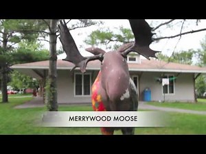 Camp Merrywood Tour
