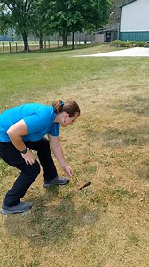 16K views · 192 reactions | EAGLE 101: GUIDE TO FINDING AN EAGLE...