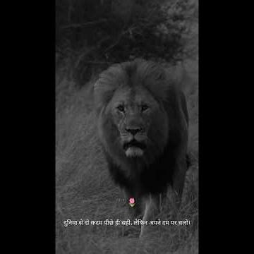 🦁दुनिया से दो कदम🥹 पीछे ही सही, लेकिन अपने दम पर चलो।two steps behind, two #Hindi #shayari#attitude