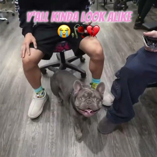 “Y’all kinda look alike” 😭🥀💔 #clips #funny #lacy #jason #shorts