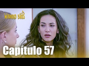 Omer Stolen Dreams | Chapter 57