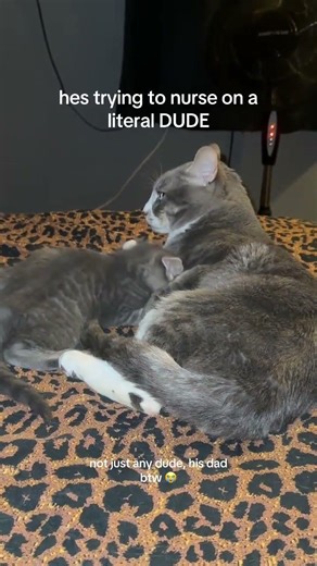 @victorialubanski: Moopsie is petrified of Mini Moopsie Lmaooo scariest moment of his life