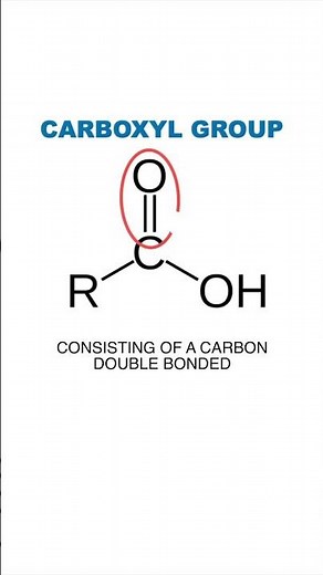 Carboxyl Group | Functional Groups