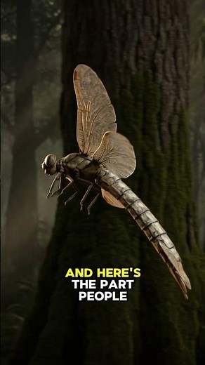 Meganeura: The Giant Insect That Dominated Prehistoric Skies #usa #prehistoriccreatures