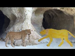 Cave Lion Sound Effects
