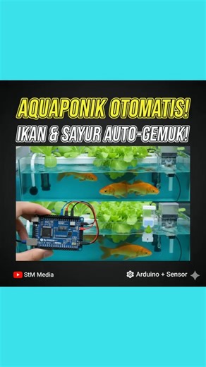 Make Your Aquaponics System Automatic: Fish & Vegetables Grow Fatter! 🤖🌱🐟