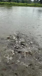 361K views · 10K reactions | Over the past few months, my mindset...