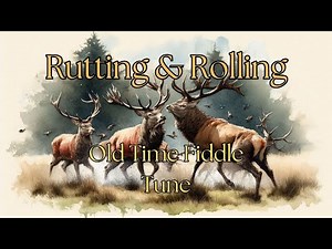 Rutting & Rolling - Old Time Fiddle