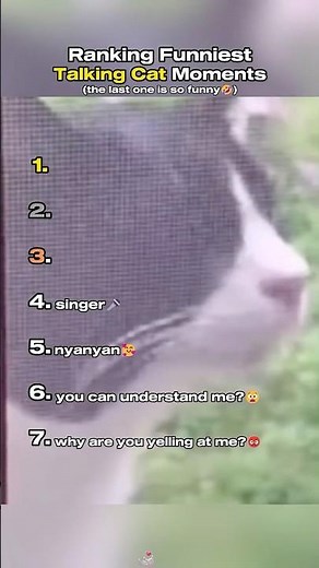 Ranking Best Talking Cat Moments🫶🏻 #cutemoment #funnycats #catshorts #trending
