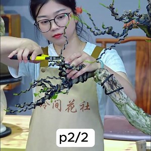 12 52 #bonsai #caycanh