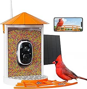 Birdkiss Smart Bird Feeder with Camera Solar, Auto Capture Bird Videos & Motion Detection, Birds Watching Camera Notify in Time, Metal Birds Feeder with Seed Guard, Ideal Present for Mom (Orange)