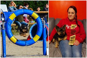VIDÉO. Dans l'Orne, Mégane guide sa chienne sur les parcours d'obstacles
