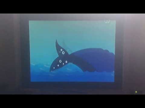 Oh Noah Whale Thank You Scene And Cyberchase End Credits