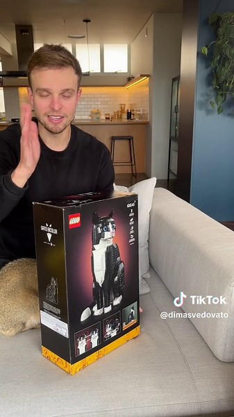 Montando o Set de LEGO Gato Tuxedo: O que esperar da montagem?