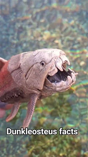 Dunkleosteus facts