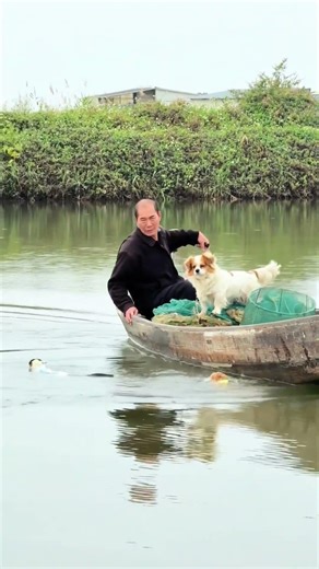 The cat became the captain #funny #cats #catsoftiktok #fyp #lovecats