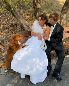 2.9M views · 10K reactions | Heartwarming Wedding Moment: Bride Sacrifices Dress to Comfort Stray Dog! | Street Belle Fashion | Facebook
