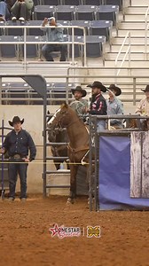 296K views · 4.7K reactions | Kaleb Driggers and Nicky Northcott are the fastest team in round 1 of the Lone Star Shootout Short Go with a 3.85! | X Factor Roping | Facebook