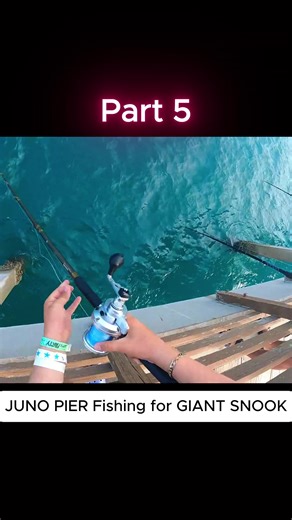 Part 5 JUNO PIER Fishing for GIANT SNOOK. #snookfishing #giantfish #florida
