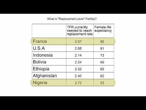 Distilled Demographics: Population Momentum