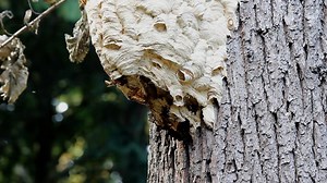 Usb, Flash Drive, Hand, Memory