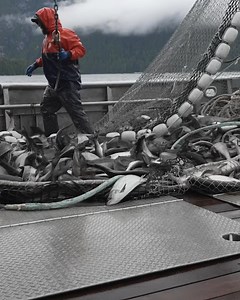 3.8K views | Simms Fishing Products on Reels | Facebook