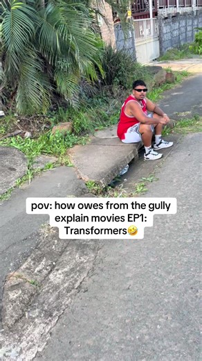 Cómo los Owes del Gully explican Transformers