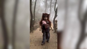 When your giant dog refuses to walk another step...what else are you supposed to do? Piggyback ride!🐕#Animalkind | Austin American-Statesman