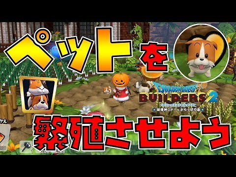 【ドラゴンクエストビルダーズ2】ペットの繁殖方法！かいたくレシピ攻略！【DQB2】