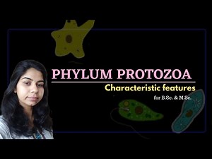 Phylum Protozoa || Characteristic features || Part-1
