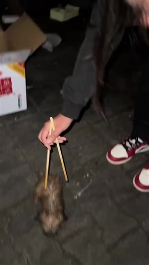 Cucciolo Abbandonato nel Parco: Un Racconto di Speranza