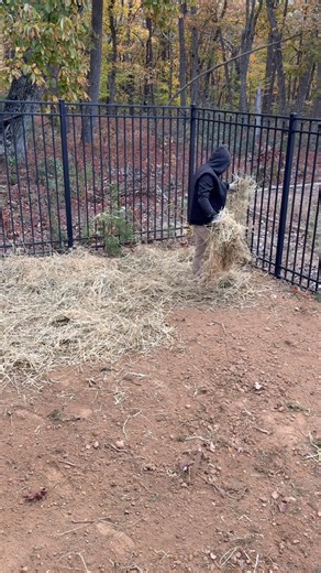 Today we’re replacing a distribution box (D-box) — a key component that evenly splits wastewater from your septic tank to each drainfield line. When a D-box gets old, cracked, or settles unevenly, it can cause one side of your drainfield to overload and fail early. By installing a new, level D-box, we’re helping this system flow smoothly and extend the life of the entire drainfield. Another proactive upgrade that keeps things underground working like they should! 👷‍♂️✅ #SepticSystem #Drainfield