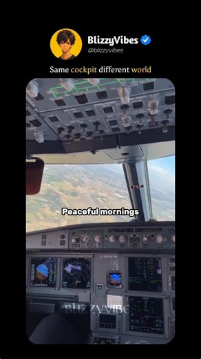Day vs night in cockpit ✈️️