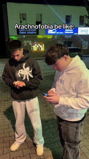 Arachnofobia: Co to jest? Odkryj zabawne memy