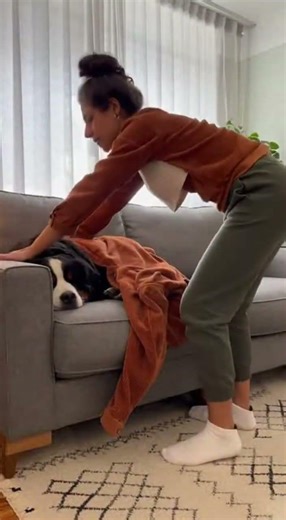 宁可我感冒发烧了，也不能让你受寒冷 最暖心的夫妻日常 #搞笑 #夫妻 #宠物