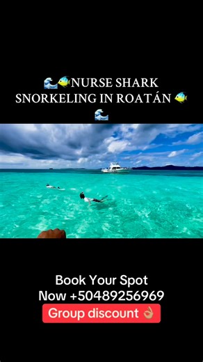 🦈🐠 NURSE SHARK & REEF SNORKELING – ROATÁN EAST END 🐠🦈 The East End of Roatán is where the real magic is — fewer boats, and nurse sharks at Pigeon Cay 🤿🌊 Private snorkeling, just island vibes. 📍 Roatán, Honduras 🌊 East End reefs 🦈 Nurse sharks 🚤 Private boat experience Would you snorkel here? 👇 Save this for your Roatán trip ✨ #Roatan #EastEndRoatan #NurseSharks #SnorkelingRoatan #CaribbeanReefs #PrivateTour #IslandLife #TravelTikTok #OceanVibes #BucketList | St.Helene Tour & Adventure