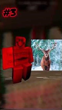 5 curiosidades de c00lkidd 👀 | Análisis