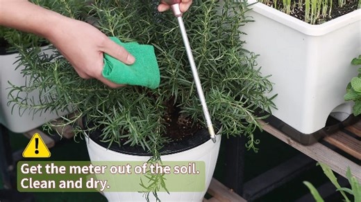 Watch Naiades Soil Moisture Meter on Amazon Live