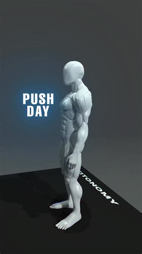 Push hard. Pull strong. 💪 Chest, shoulders, triceps — back, traps, biceps. Build strength, balance, and power — with @fitonomy.coach #fitonomycoach #pushpullworkout #upperbodyworkout #pushday #pullday #buildstrength #fitlifestyle #chestandtriceps #backandbiceps #musclebuilding #fitnessjourney #trainhard #fitonomy #bodybalance | Gym.advice