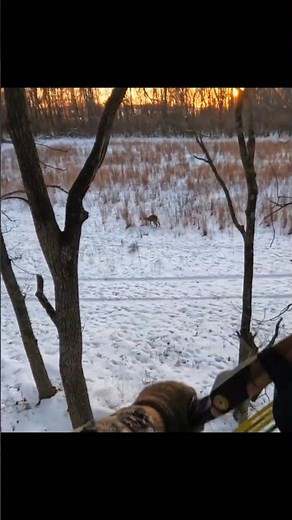 Perfect Deer Hunting Moment in the Snow 🦌🏹 #deer #spearhunting #huntinglife #wildlife