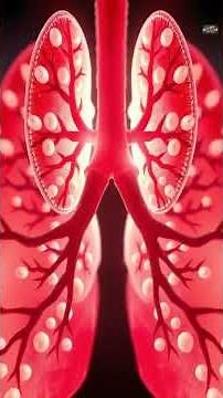 50 ALVEOLAR GAS EXCHANGE, HOW LUNGS SUPPLY OXYGEN TO BLOOD #50LAM_ANATOMY_ENG