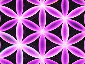 Flower of Life Tutorial Using OmniGeometry