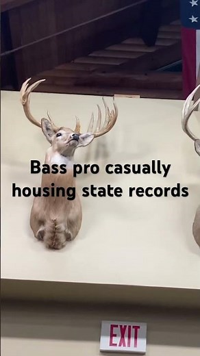 Always bass pro or cabellas 😂#deer #hunting #whitetail