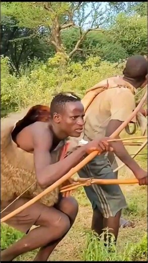 Baboon Troop Chaos: The Savannah Alarm & Ancient Arco e Flecha Precision 🏹🐒