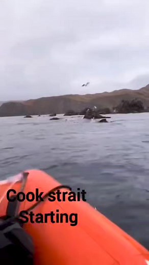 27K views · 612 reactions | Cook Strait starting moment. Thanks Cynthia for the video. #Cook #ocean #life #sayani #india #Newzealand #reels | Sayani Das | Facebook